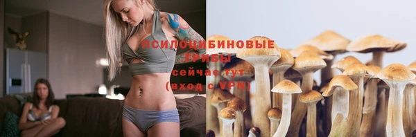 apvp Бугульма