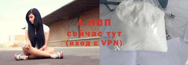 a pvp Богданович