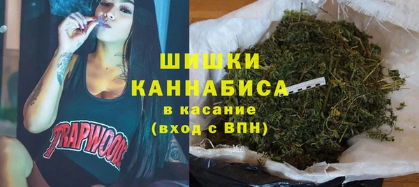стаф Бородино