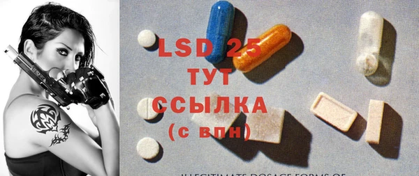 стаф Бородино