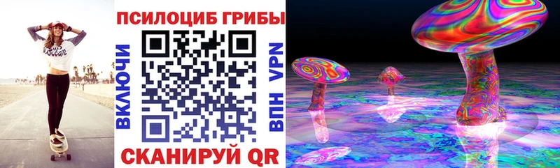 Галлюциногенные грибы Psilocybe  Мурманск 